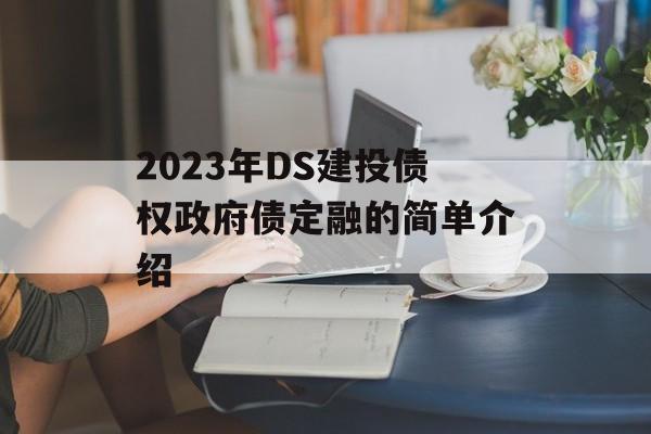 2023年DS建投债权政府债定融的简单介绍