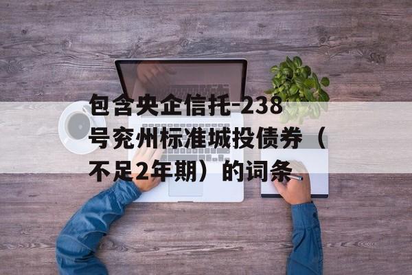 包含央企信托-238号兖州标准城投债券（不足2年期）的词条