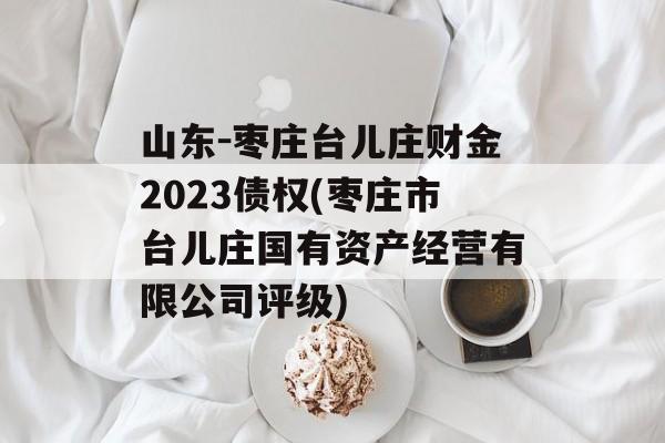 山东-枣庄台儿庄财金2023债权(枣庄市台儿庄国有资产经营有限公司评级)