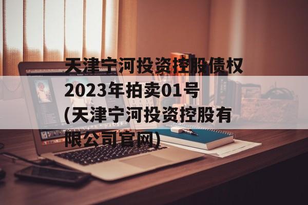 天津宁河投资控股债权2023年拍卖01号(天津宁河投资控股有限公司官网)