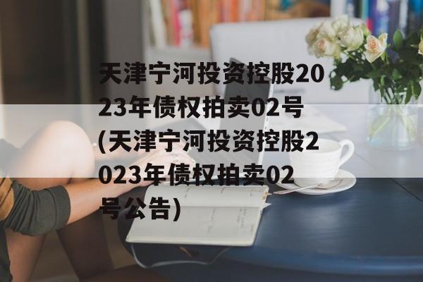 天津宁河投资控股2023年债权拍卖02号(天津宁河投资控股2023年债权拍卖02号公告)