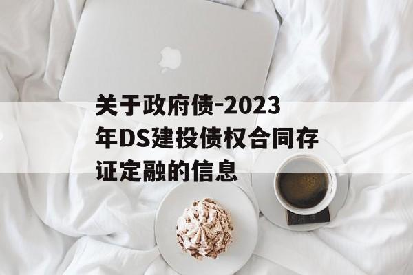 关于政府债-2023年DS建投债权合同存证定融的信息