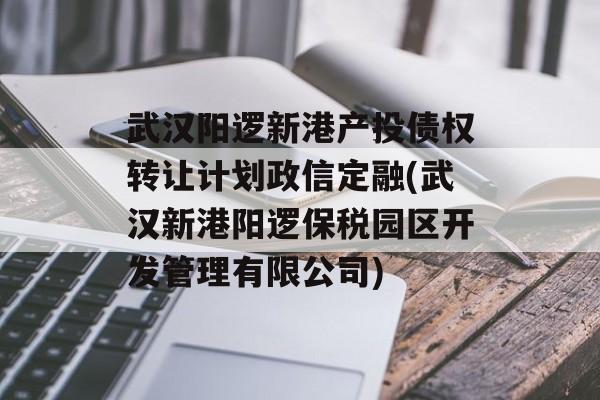 武汉阳逻新港产投债权转让计划政信定融(武汉新港阳逻保税园区开发管理有限公司)