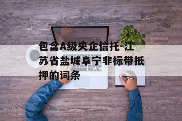 包含A级央企信托-江苏省盐城阜宁非标带抵押的词条