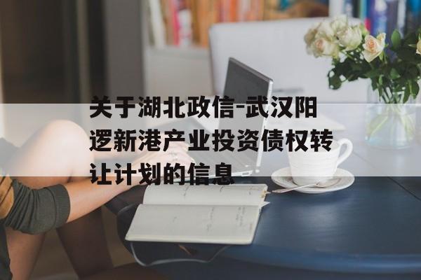 关于湖北政信-武汉阳逻新港产业投资债权转让计划的信息