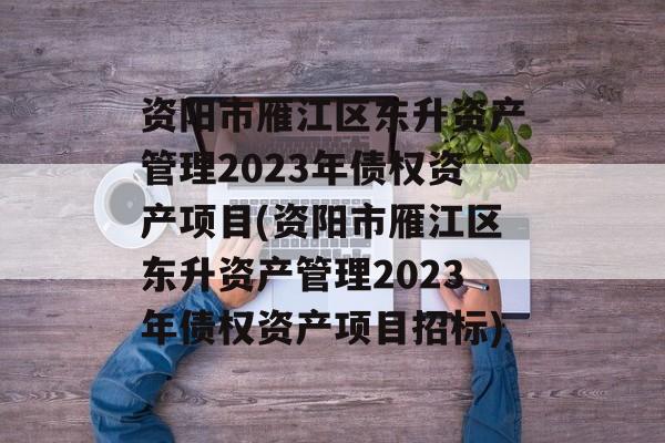 资阳市雁江区东升资产管理2023年债权资产项目(资阳市雁江区东升资产管理2023年债权资产项目招标)