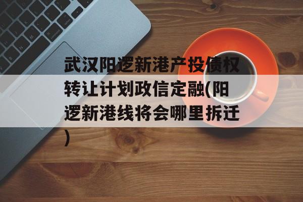 武汉阳逻新港产投债权转让计划政信定融(阳逻新港线将会哪里拆迁)