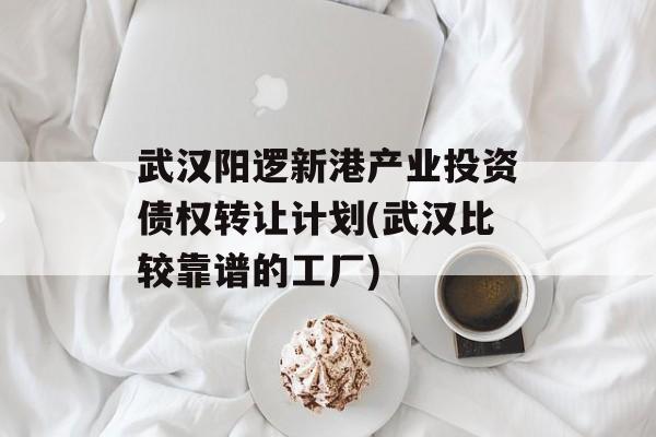 武汉阳逻新港产业投资债权转让计划(武汉比较靠谱的工厂)