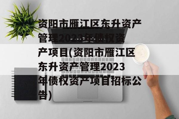 资阳市雁江区东升资产管理2023年债权资产项目(资阳市雁江区东升资产管理2023年债权资产项目招标公告)