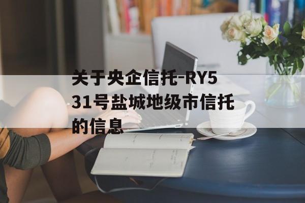 关于央企信托-RY531号盐城地级市信托的信息