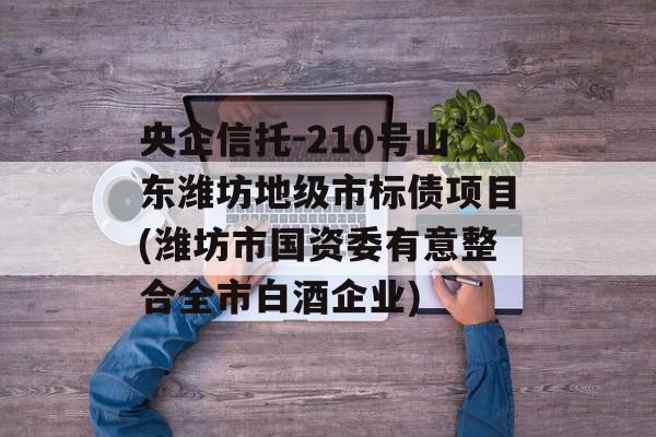 央企信托-210号山东潍坊地级市标债项目(潍坊市国资委有意整合全市白酒企业)