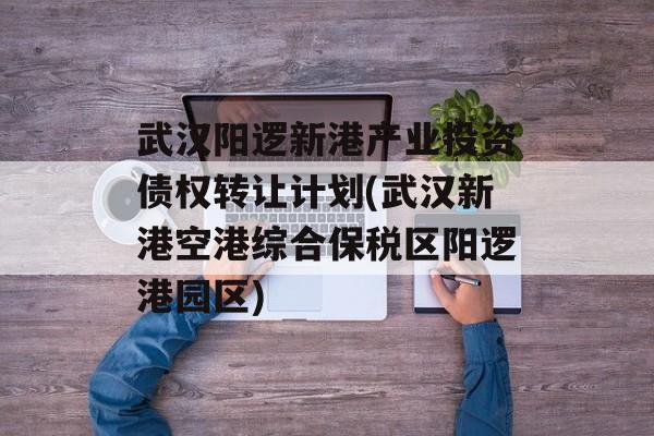 武汉阳逻新港产业投资债权转让计划(武汉新港空港综合保税区阳逻港园区)