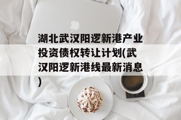 湖北武汉阳逻新港产业投资债权转让计划(武汉阳逻新港线最新消息)