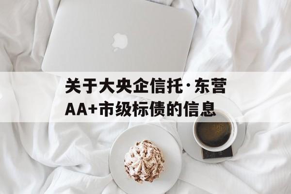 关于大央企信托·东营AA+市级标债的信息