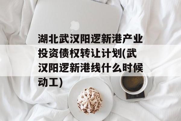 湖北武汉阳逻新港产业投资债权转让计划(武汉阳逻新港线什么时候动工)