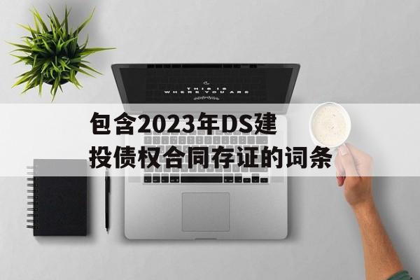 包含2023年DS建投债权合同存证的词条