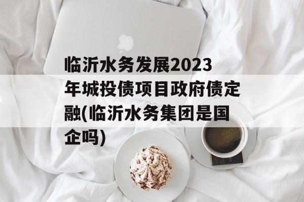 临沂水务发展2023年城投债项目政府债定融(临沂水务集团是国企吗)