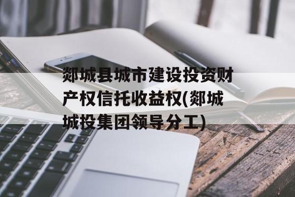 郯城县城市建设投资财产权信托收益权(郯城城投集团领导分工)