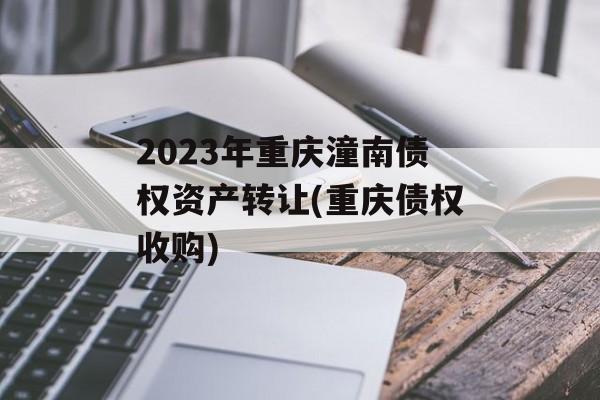 2023年重庆潼南债权资产转让(重庆债权收购)