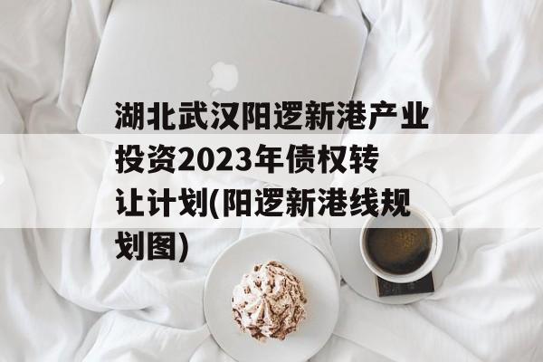 湖北武汉阳逻新港产业投资2023年债权转让计划(阳逻新港线规划图)