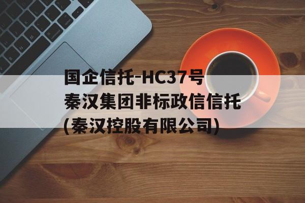 国企信托-HC37号秦汉集团非标政信信托(秦汉控股有限公司)