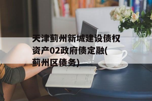 天津蓟州新城建设债权资产02政府债定融(蓟州区债务)