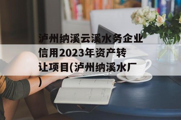 泸州纳溪云溪水务企业信用2023年资产转让项目(泸州纳溪水厂)