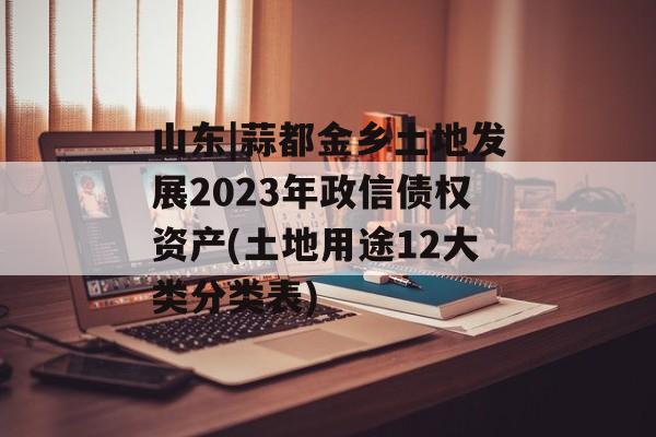 山东|蒜都金乡土地发展2023年政信债权资产(土地用途12大类分类表)