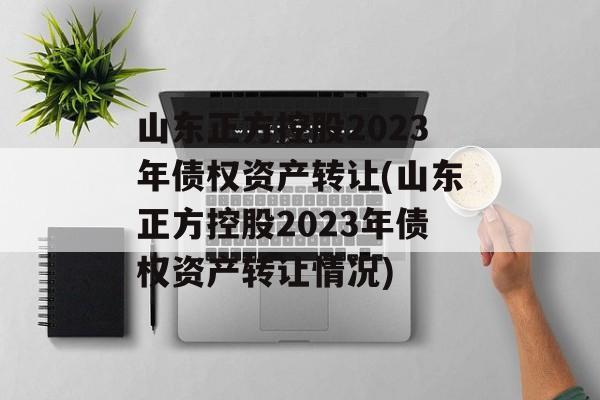 山东正方控股2023年债权资产转让(山东正方控股2023年债权资产转让情况)