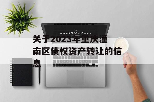 关于2023年重庆潼南区债权资产转让的信息