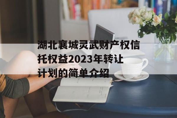 湖北襄城灵武财产权信托权益2023年转让计划的简单介绍