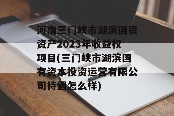 河南三门峡市湖滨国资资产2023年收益权项目(三门峡市湖滨国有资本投资运营有限公司待遇怎么样)