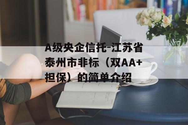 A级央企信托-江苏省泰州市非标（双AA+担保）的简单介绍