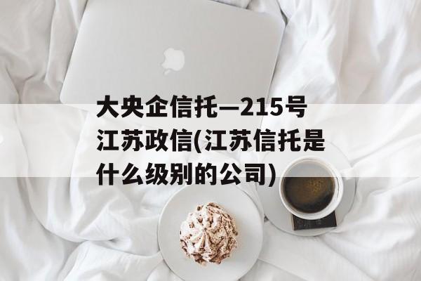 大央企信托—215号江苏政信(江苏信托是什么级别的公司)