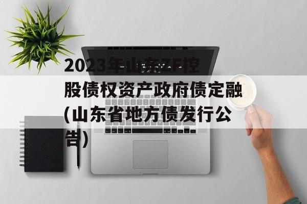 2023年山东ZF控股债权资产政府债定融(山东省地方债发行公告)