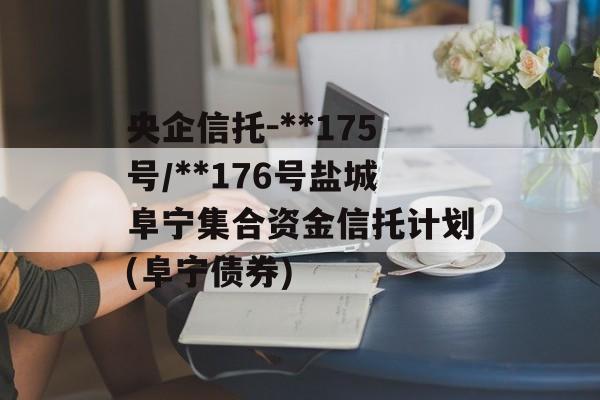 央企信托-**175号/**176号盐城阜宁集合资金信托计划(阜宁债券)