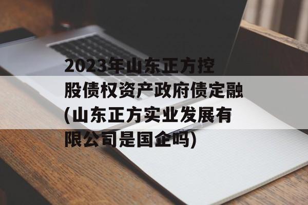 2023年山东正方控股债权资产政府债定融(山东正方实业发展有限公司是国企吗)