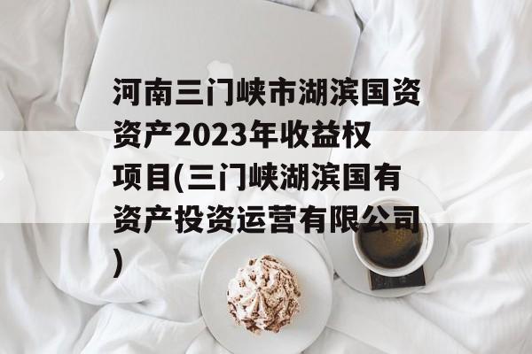 河南三门峡市湖滨国资资产2023年收益权项目(三门峡湖滨国有资产投资运营有限公司)