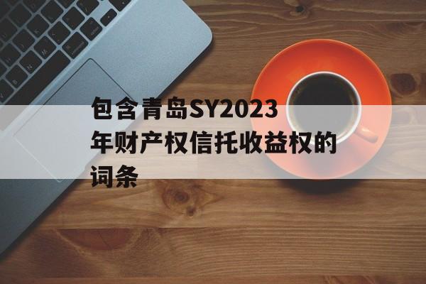 包含青岛SY2023年财产权信托收益权的词条