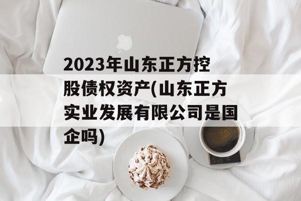 2023年山东正方控股债权资产(山东正方实业发展有限公司是国企吗)