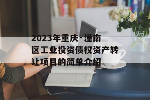 2023年重庆·潼南区工业投资债权资产转让项目的简单介绍