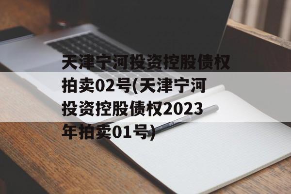 天津宁河投资控股债权拍卖02号(天津宁河投资控股债权2023年拍卖01号)