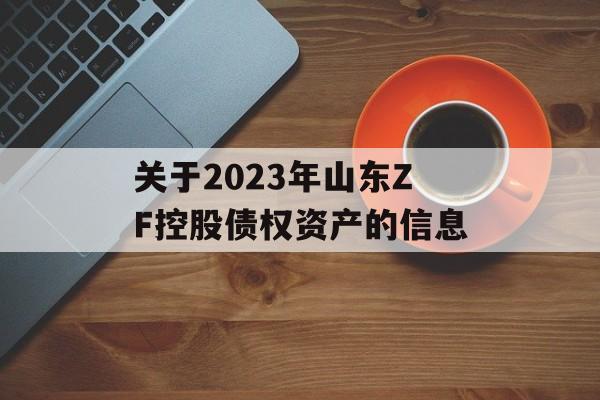 关于2023年山东ZF控股债权资产的信息