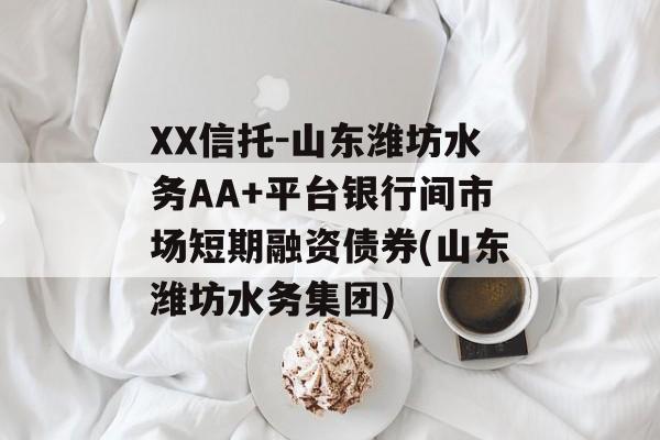 XX信托-山东潍坊水务AA+平台银行间市场短期融资债券(山东潍坊水务集团)