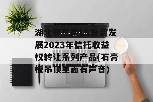 湖北鄂东南LS投资发展2023年信托收益权转让系列产品(石膏板吊顶里面有声音)