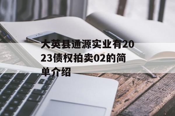 大英县通源实业有2023债权拍卖02的简单介绍