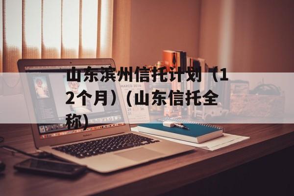 山东滨州信托计划（12个月）(山东信托全称)