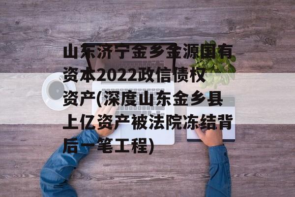 山东济宁金乡金源国有资本2022政信债权资产(深度山东金乡县上亿资产被法院冻结背后一笔工程)