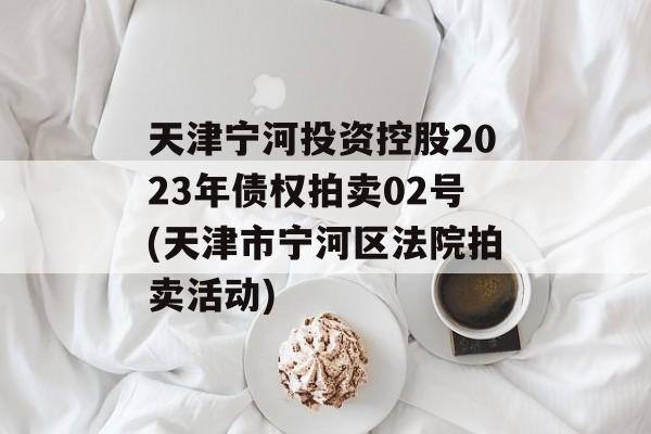 天津宁河投资控股2023年债权拍卖02号(天津市宁河区法院拍卖活动)