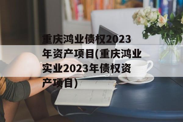 重庆鸿业债权2023年资产项目(重庆鸿业实业2023年债权资产项目)